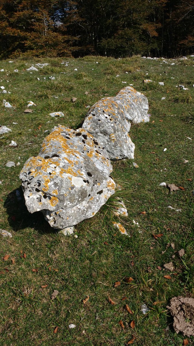 Aginan zutarria 2