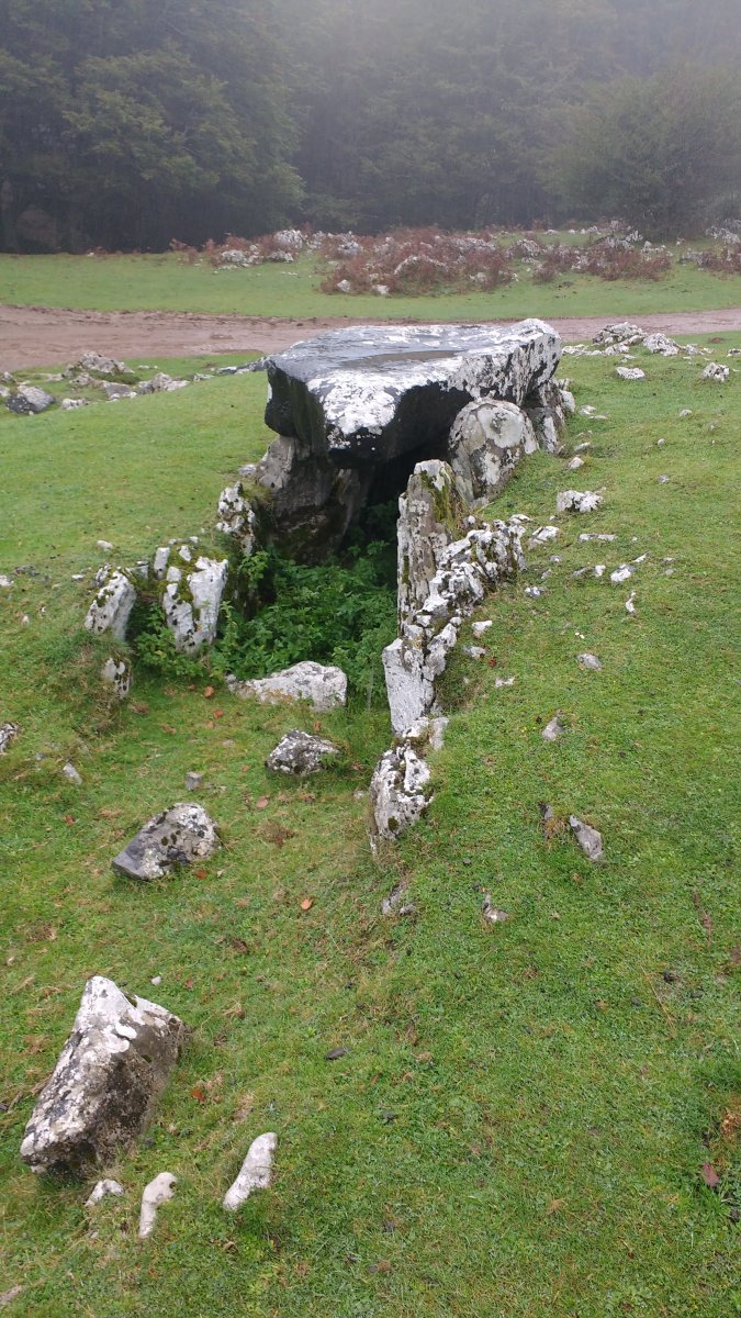 Jentilarri trikuharria 3