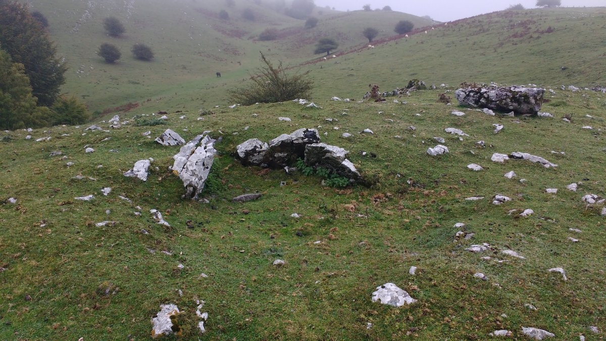 Uidui I Ek. trikuharria 3