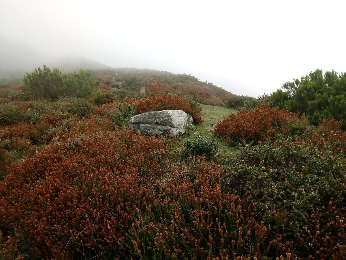 Urkitzako Lepoa trikuharria 3