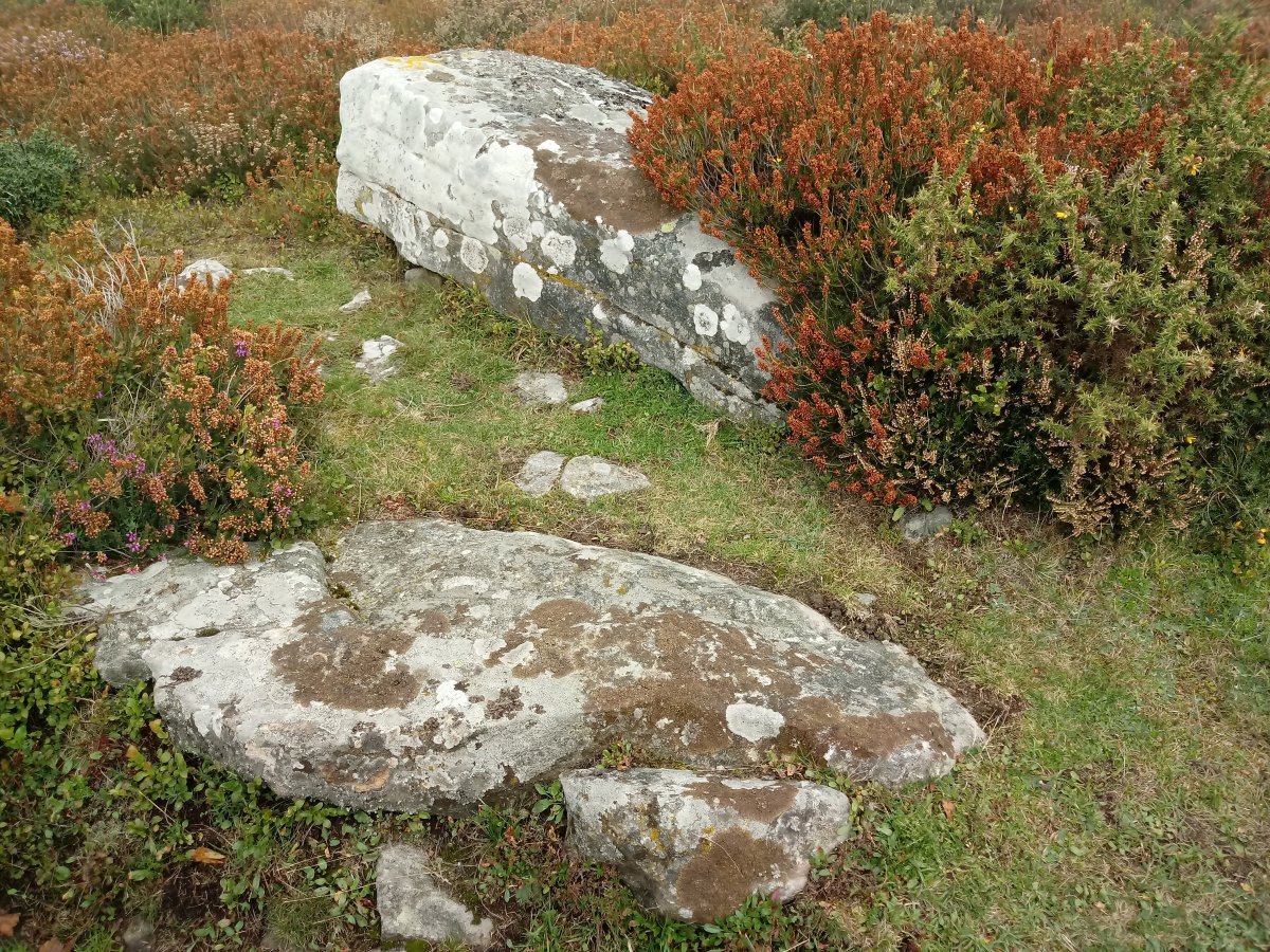 Urkitzako Lepoa trikuharria 2