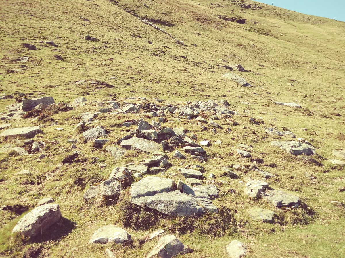 Igitaia trikuharria 3