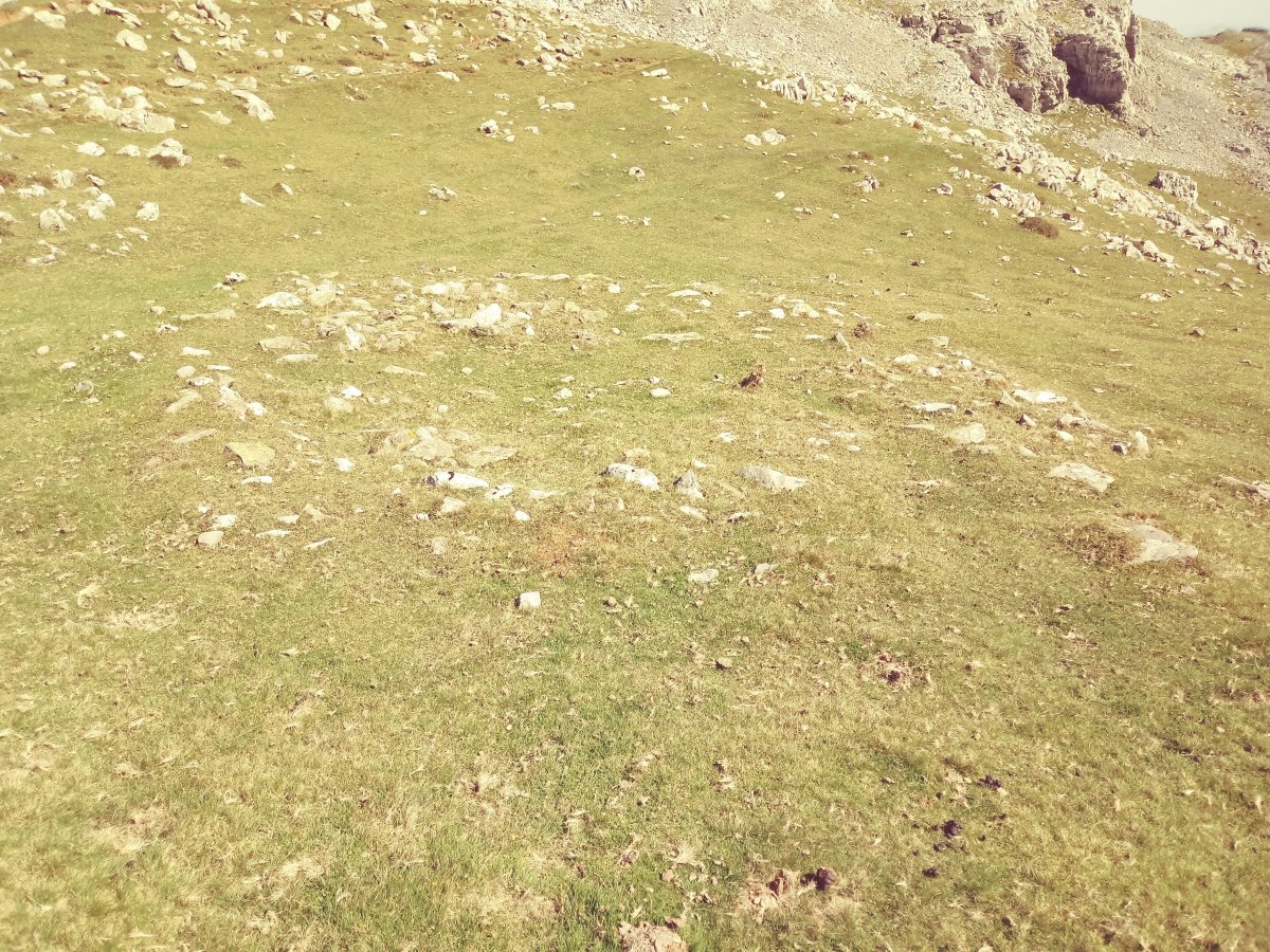 Igitaia I tumuloa 2