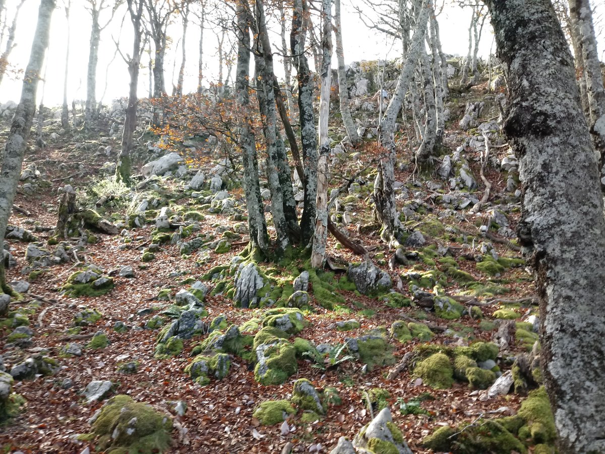 Puttarri (1299m) azken maldak 2