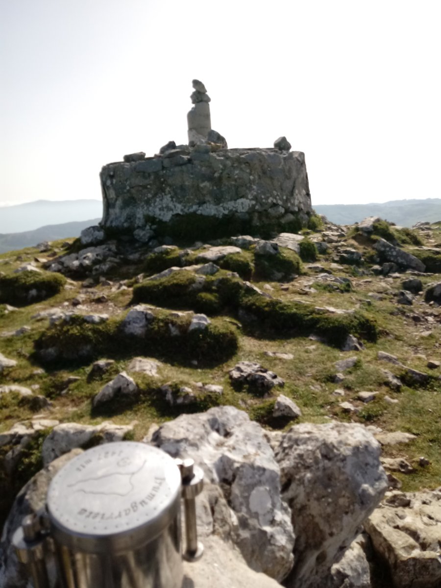 Hirumugarrieta (Intzako Dorrea) (1431m) Postontzia eta Erpin Geodesikoa