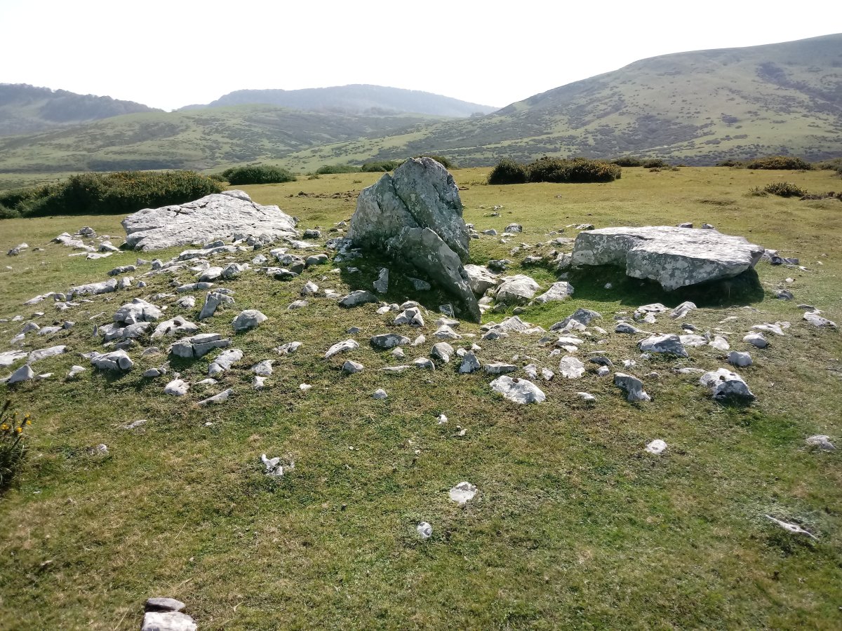 Trikuharri trikuharria 3