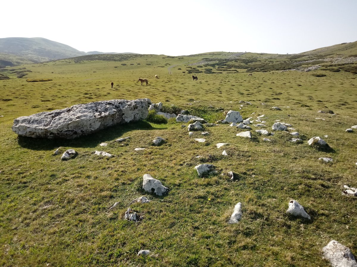 Maantsa trikuharria 3