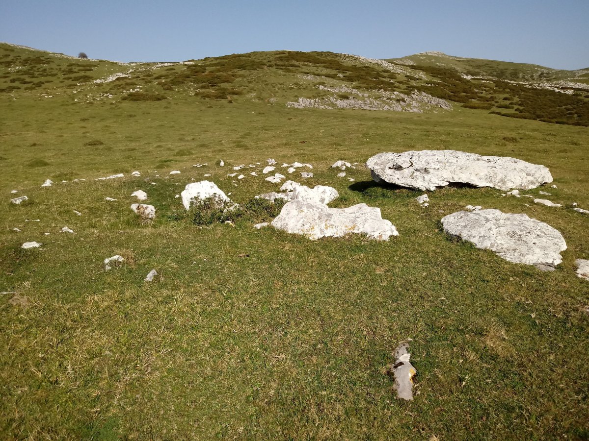 Maantsa trikuharria 2