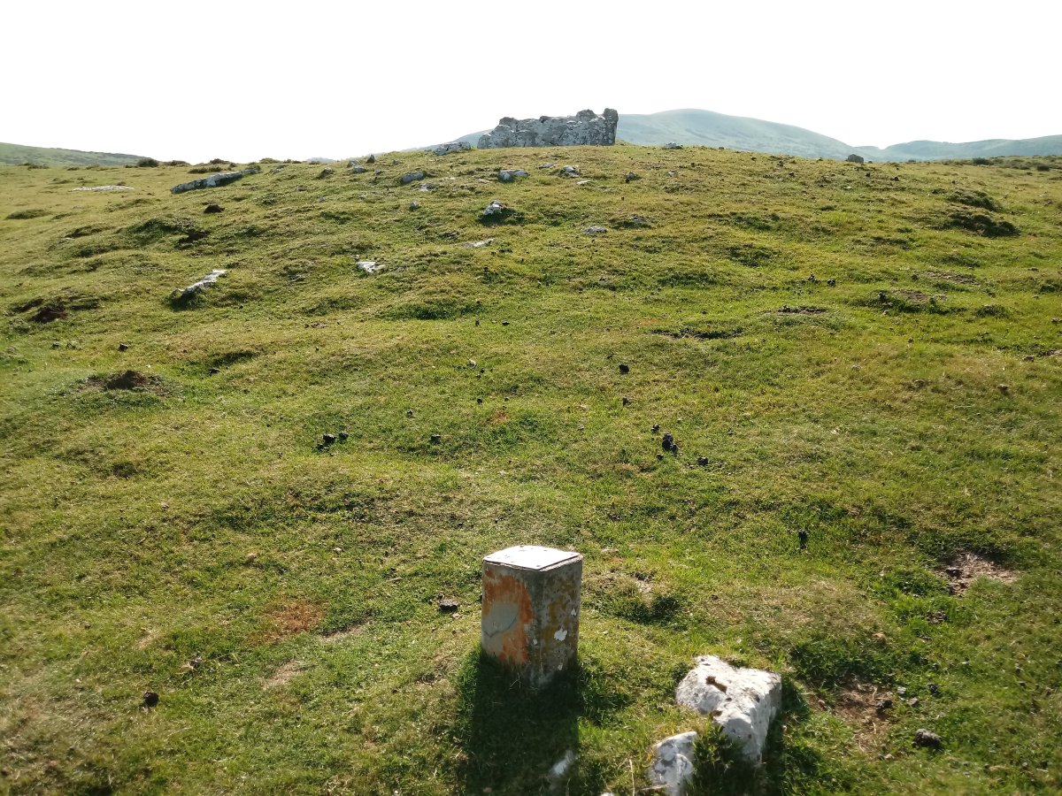 Obioneta Iparra trikuharria (2017)