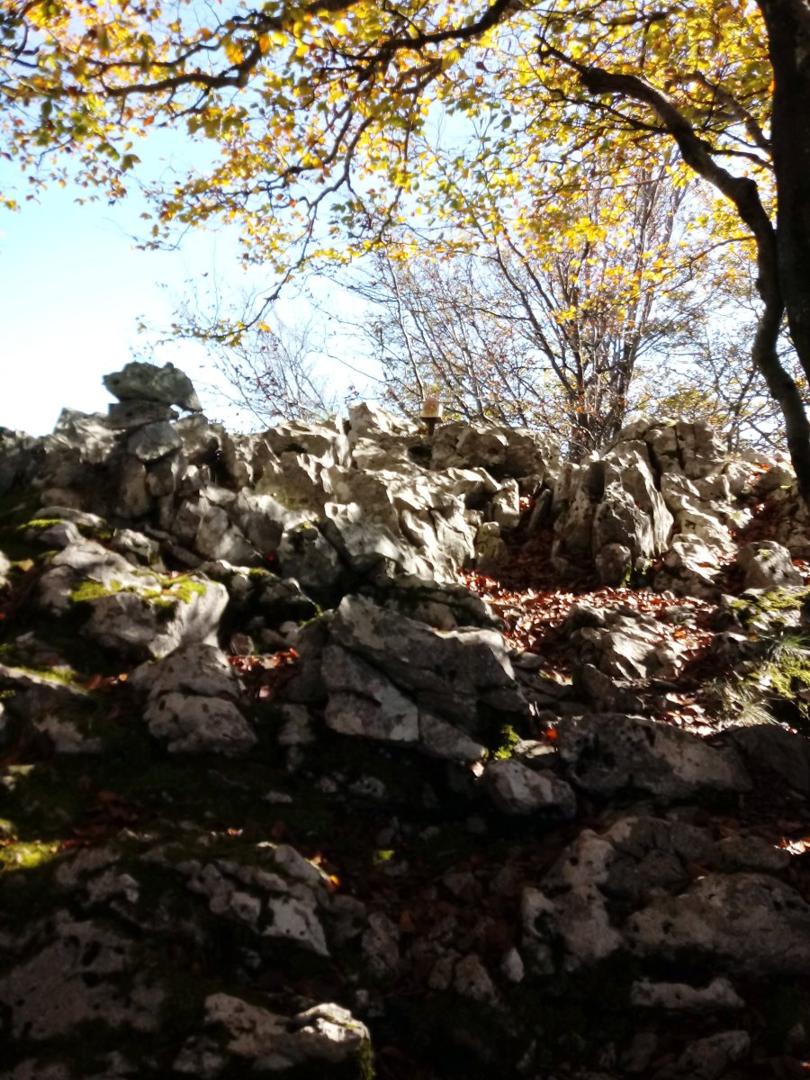 Arrietabaso (1018m) tontorra