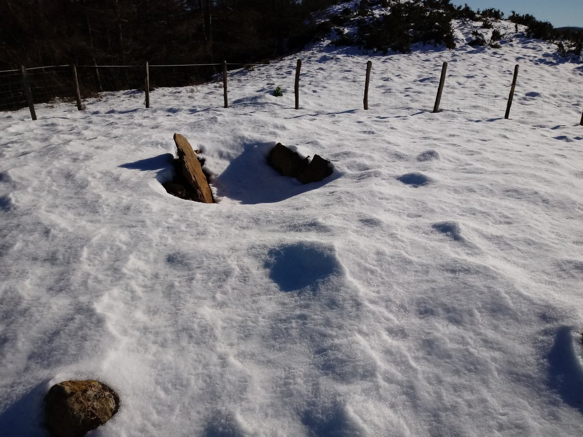 Gizaburua trikuharria 3