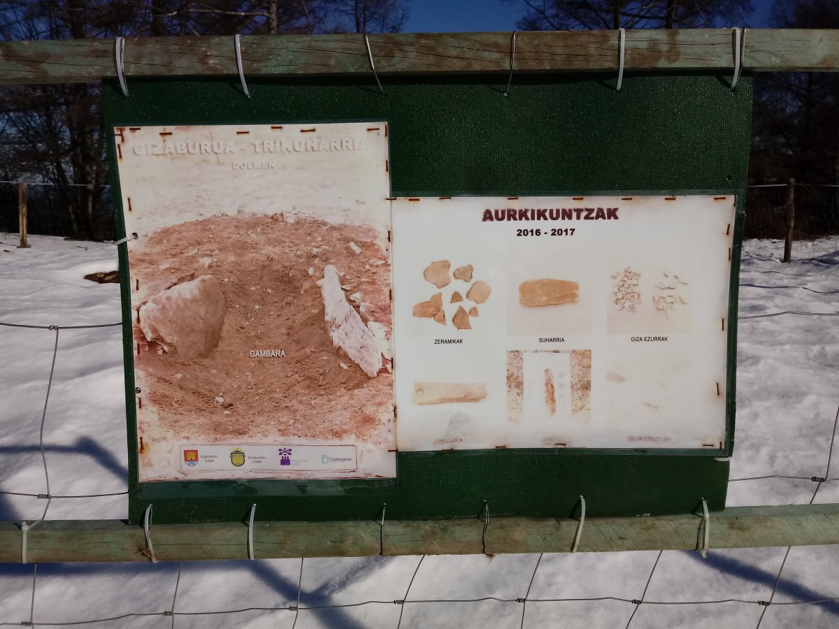 Gizaburua trikuharria 2