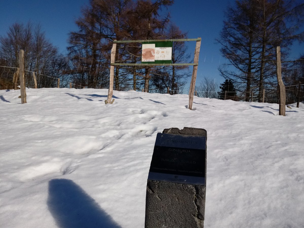 Gizaburua trikuharria (2017)