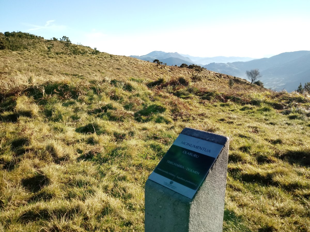 Olaburu trikuharria (2017)