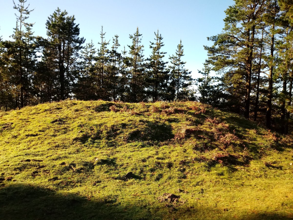 Diruzulo trikuharria 4