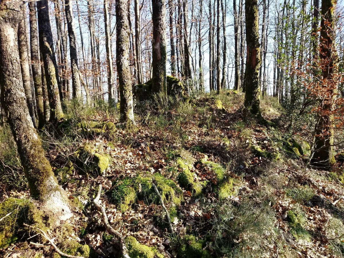 Pikanda (Urietagaña) tontorra 2