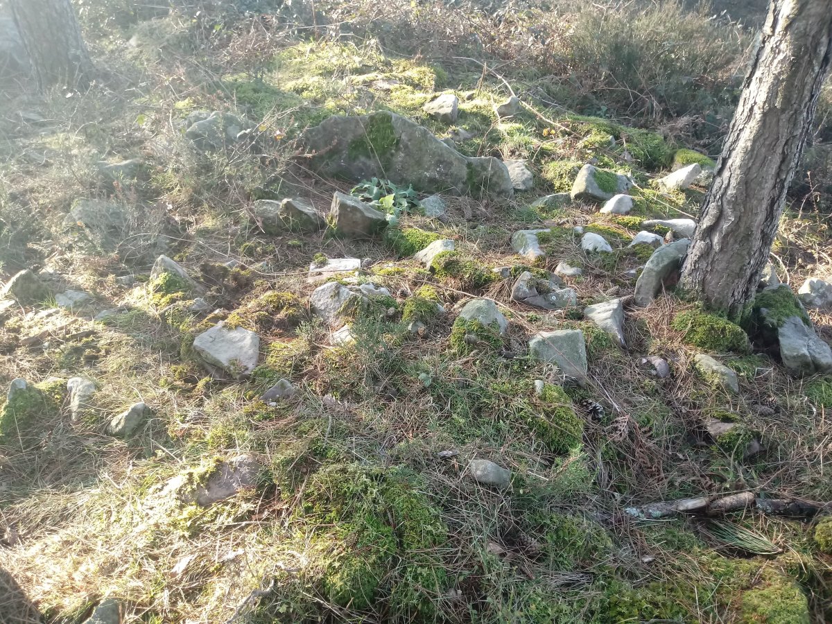 Amutxanda trikuharria 2