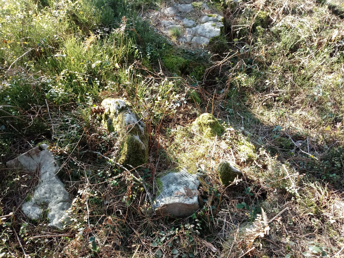 Arratolagaña trikuharria 4