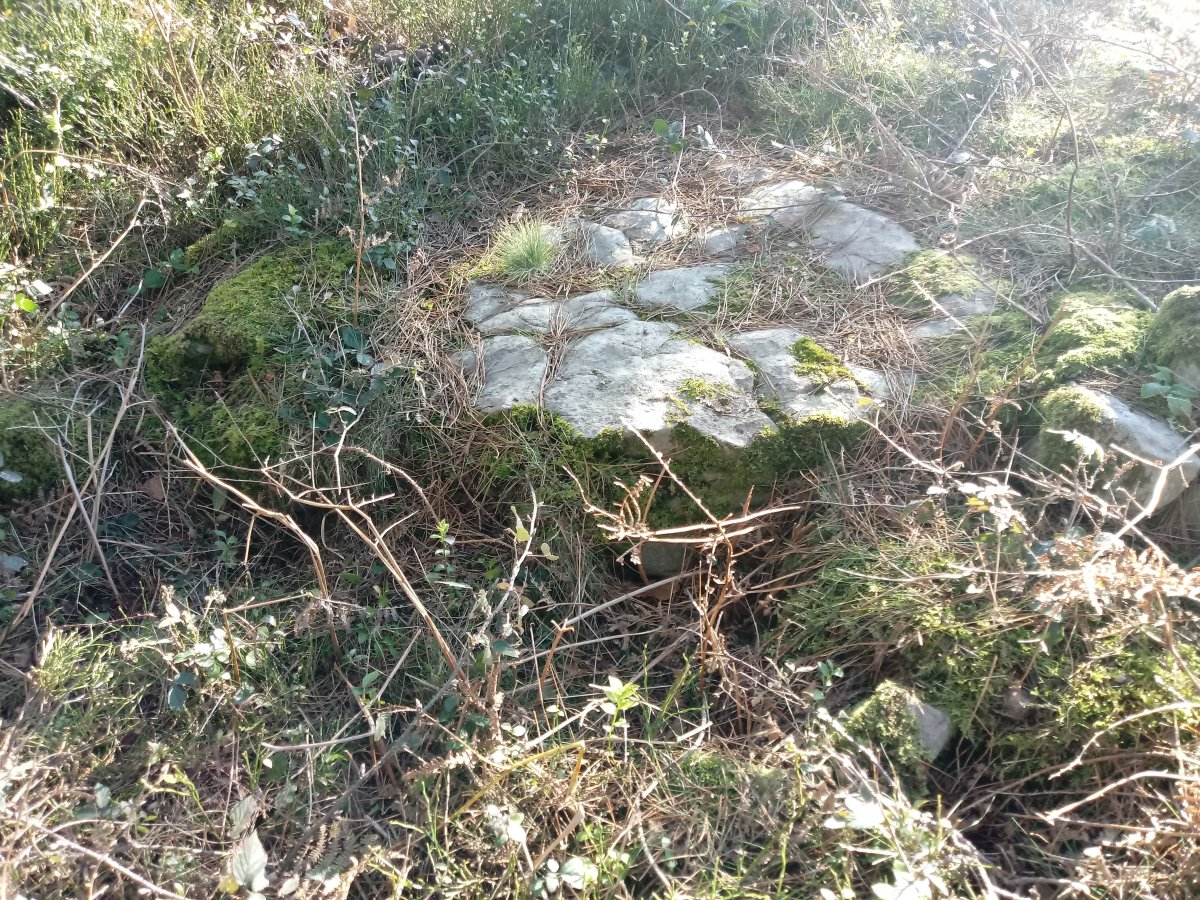 Arratolagaña trikuharria 3