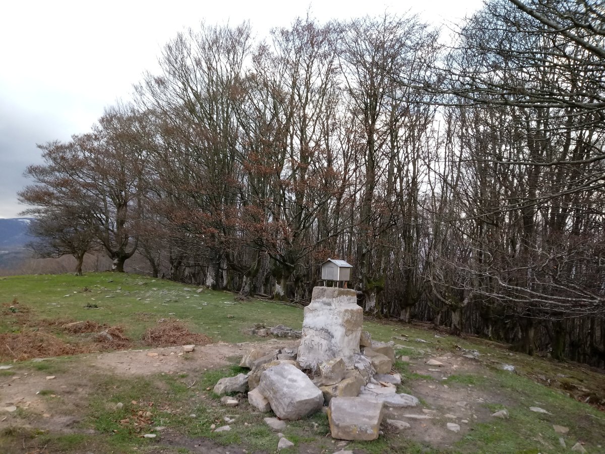 Esanuritzagaina (816m) tontorra pagadiarekin