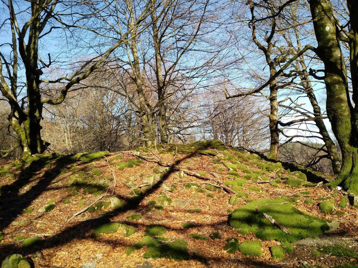 Balankaleku Iparra  trikuharria 3