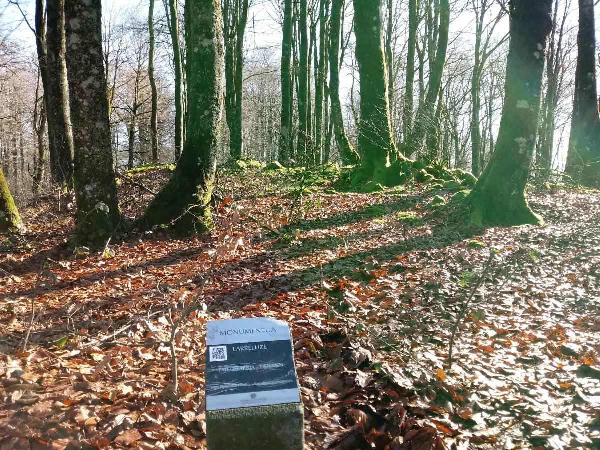 Larreluze trikuharria (2018)