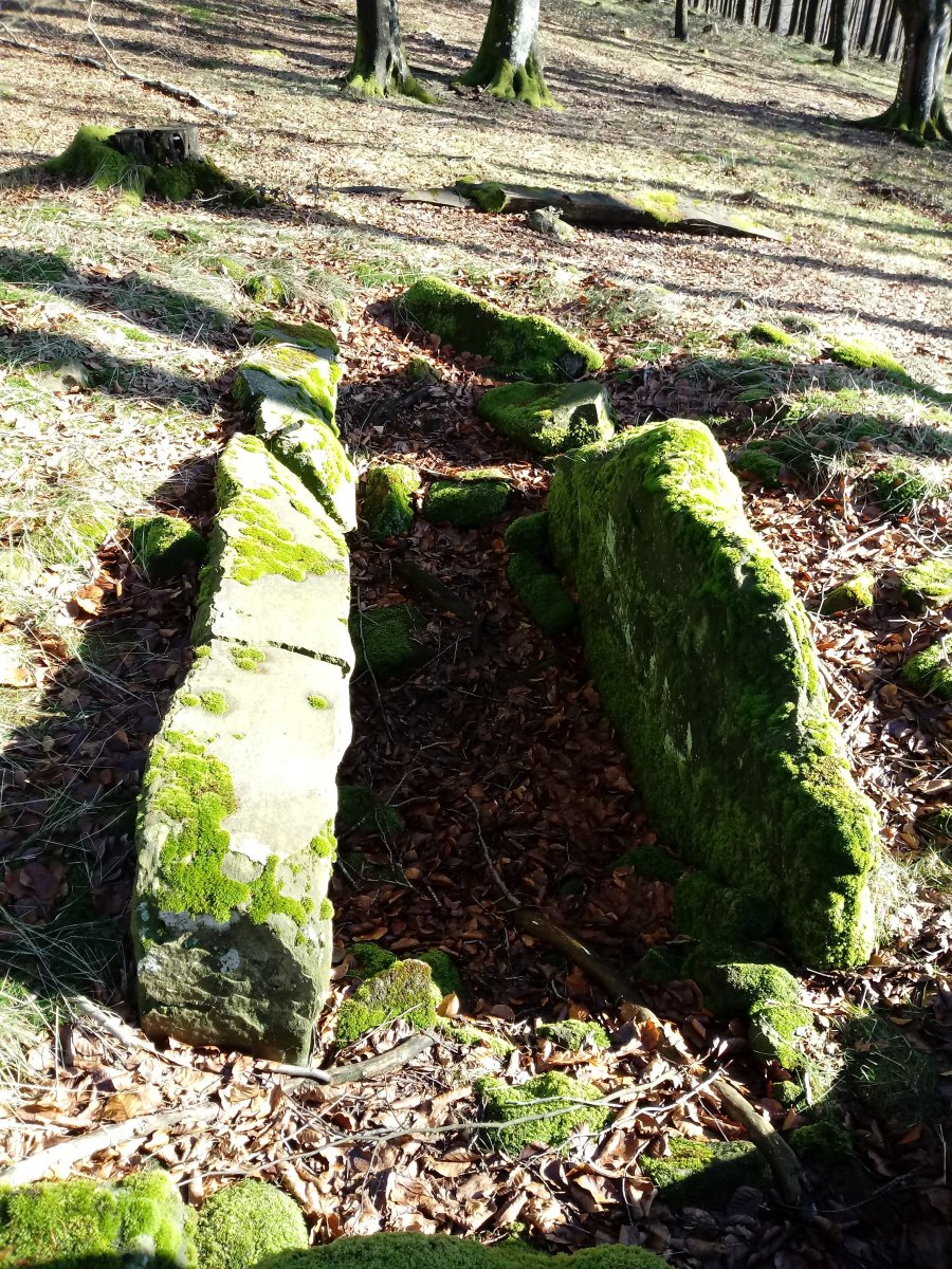 Beotegiko Murkoa (2018)