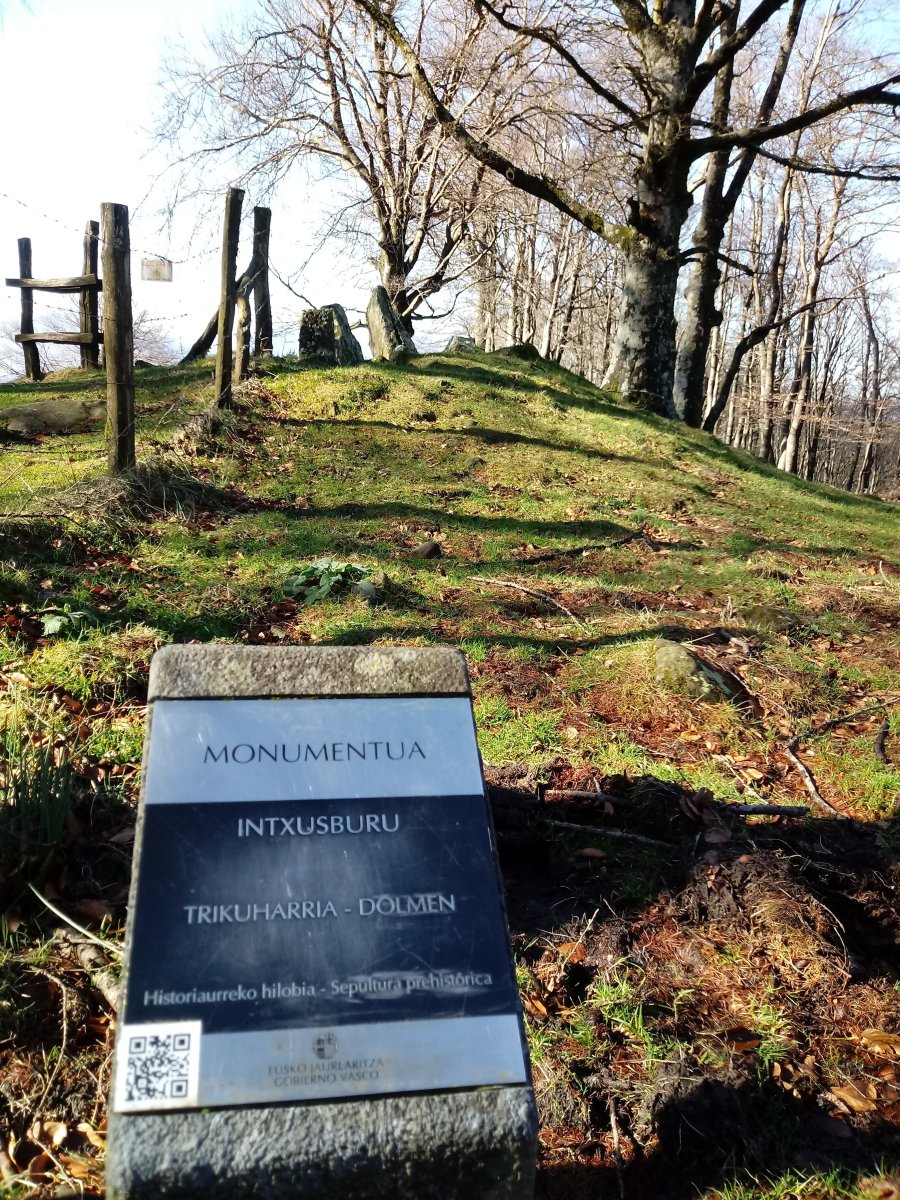 Intxusburu trikuharria (2018)