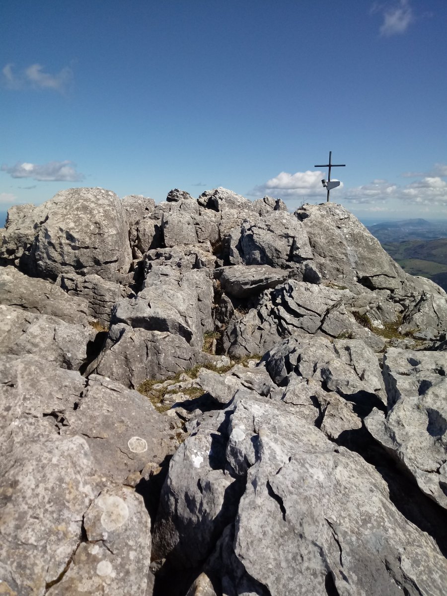 Erlo tontorra (1030m)