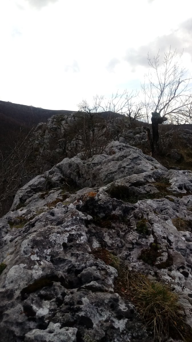 Arriona (934m) gandorra