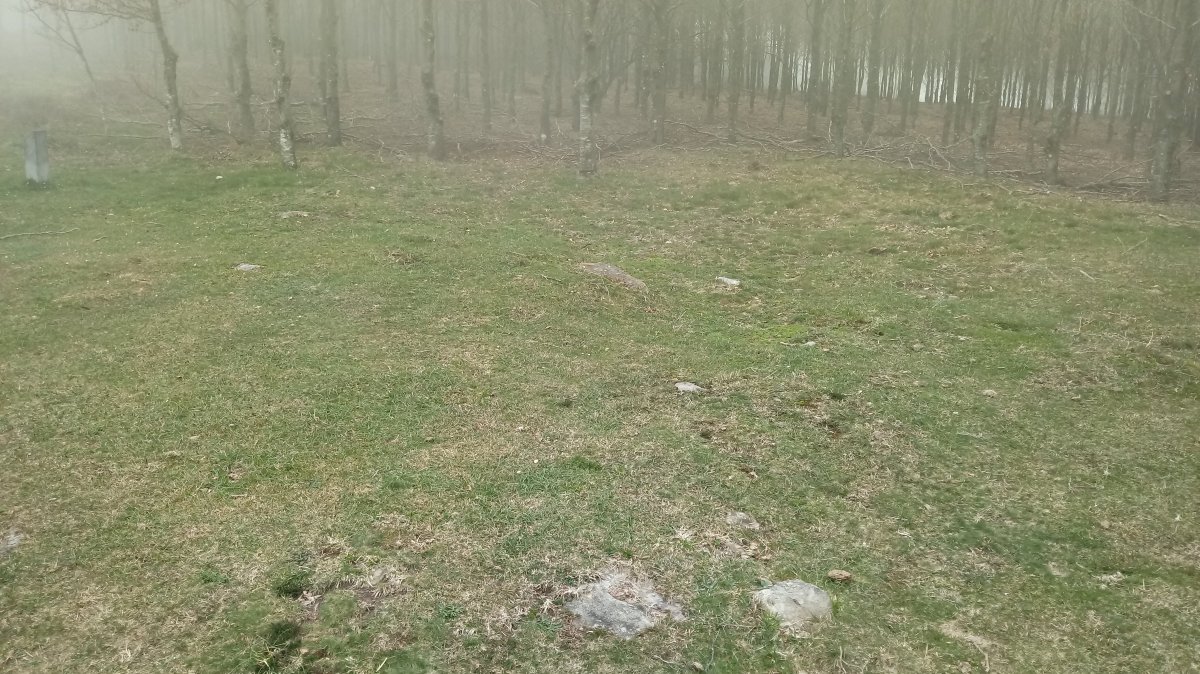 Probazelaiburu I trikuharria 2