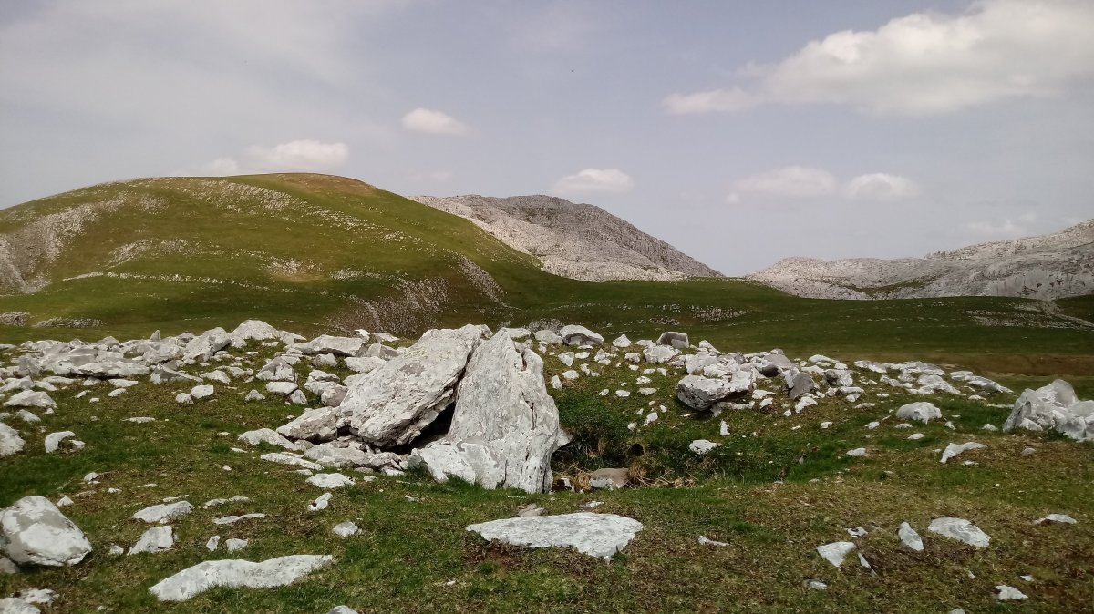 Artzanburu Trikuharria 2 (2018)