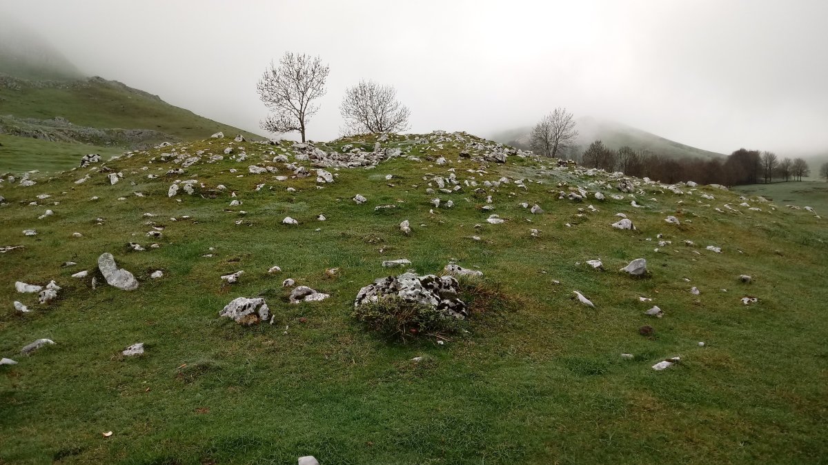 Pagobakoitza trikuharria 3