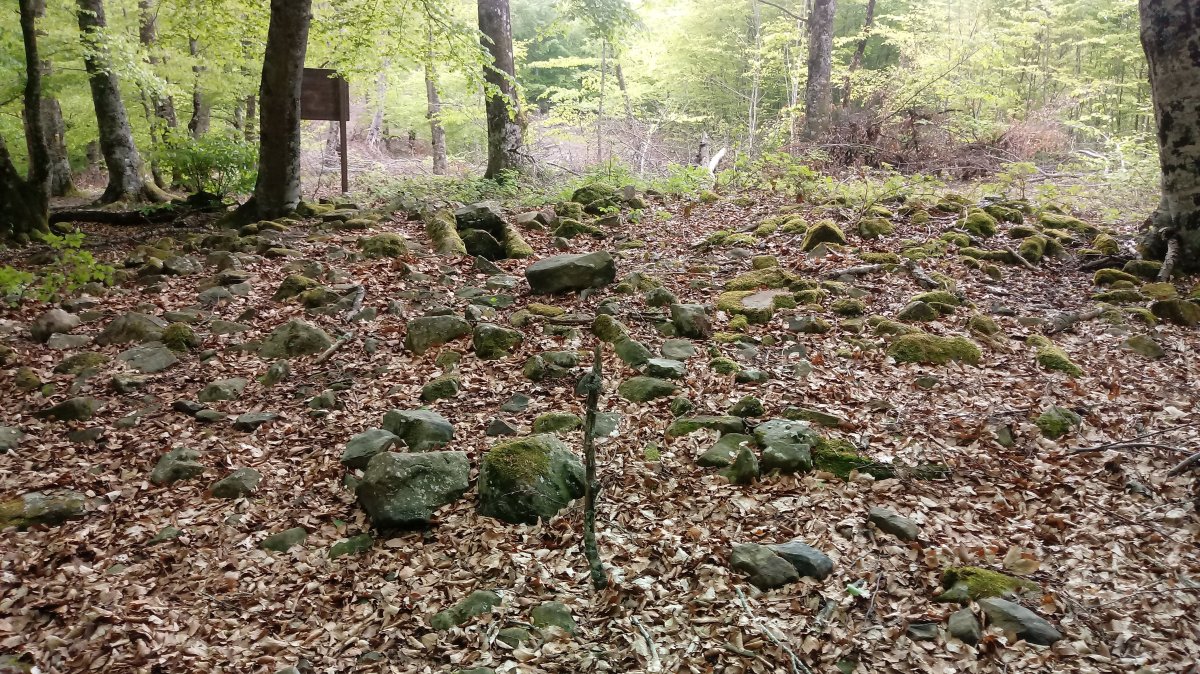 Maitzegur trikuharria 4