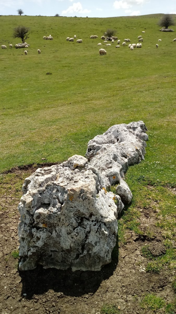 Sarasako Sakana zutarria 3