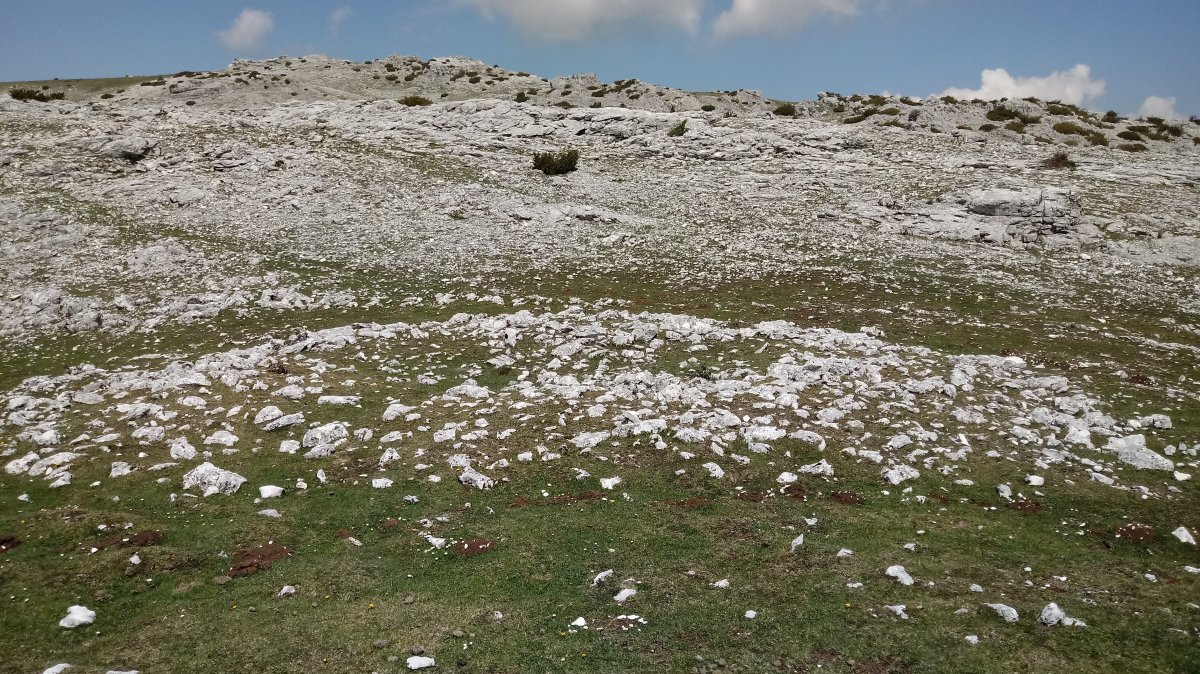 Peñablanca trikuharria 3