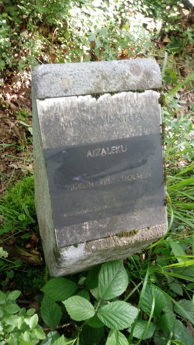 Aizaleku trikuharria (2018)