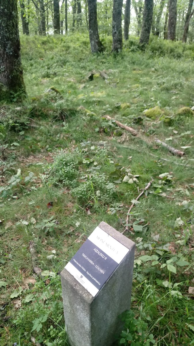 Aizaleku II trikuharria (2018)