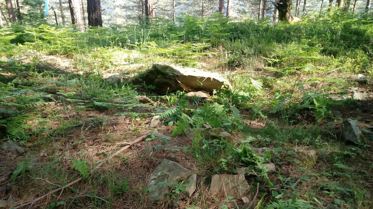 Maribidaurre trikuharria 2