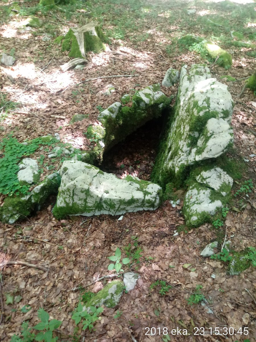 Arregi trikuharria 4