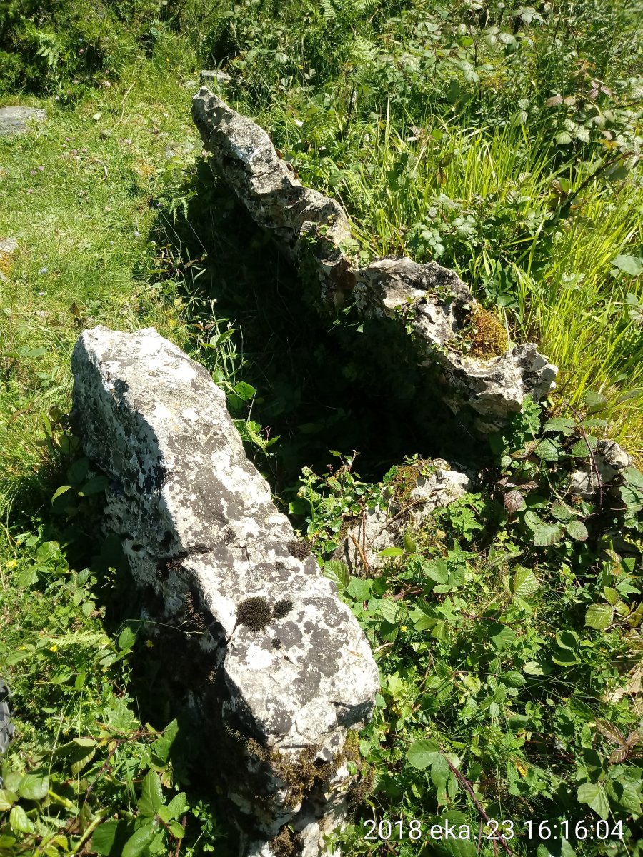 Odiego II Hego trikuharria 4