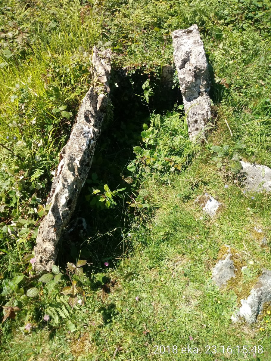 Odiego II Hego trikuharria 3