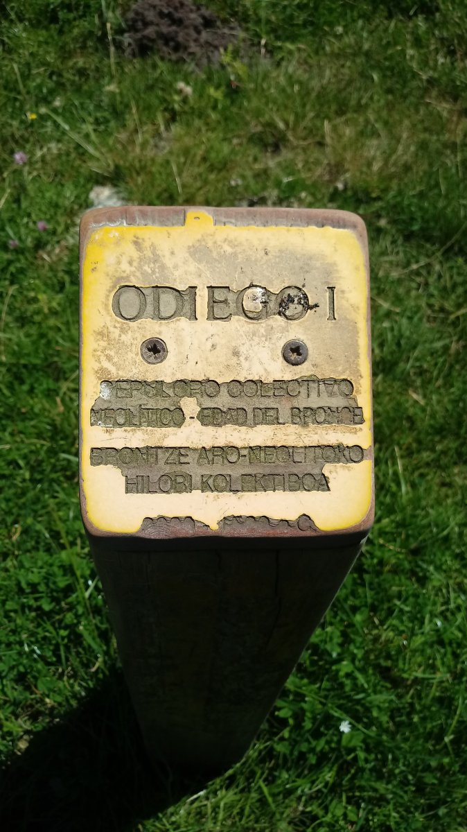 Odiego I Ipar trikuharria (2018)