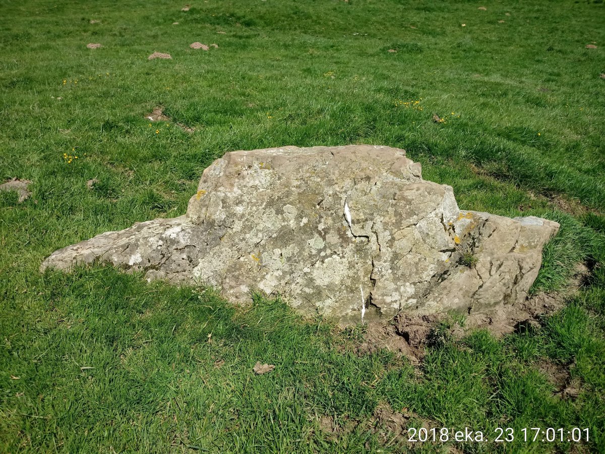 Zubimearreko Erreka trikuharria 3