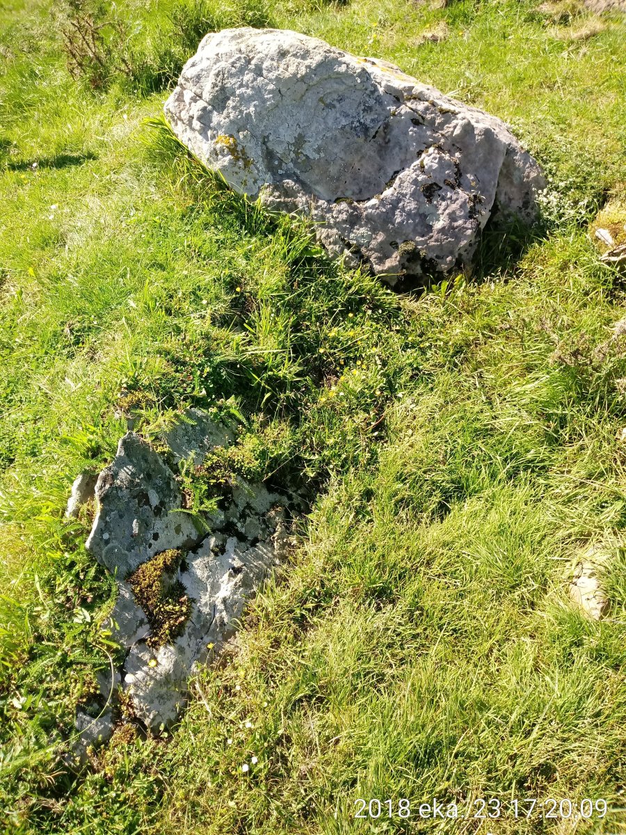 Sorogain trikuharria 2