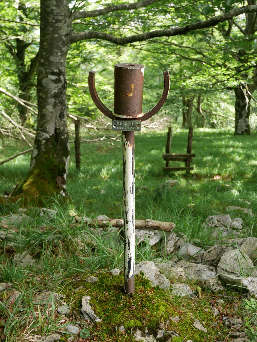 Txartelontzia, Mergelu