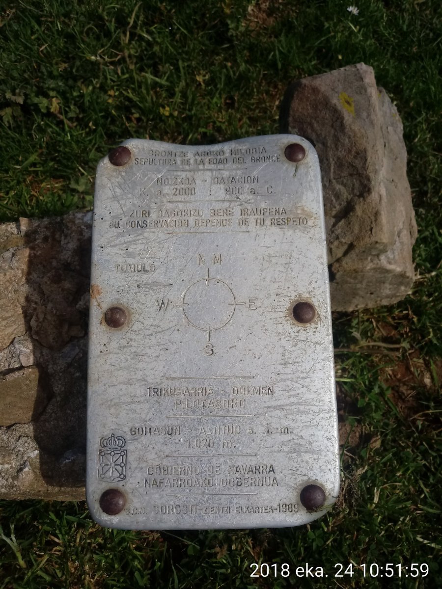 Pilotasoro trikuharria (2018)