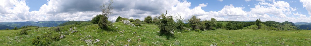 Akordategaña tontorra