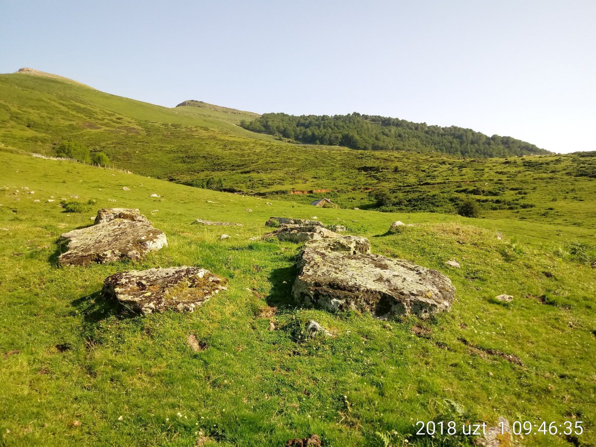 Azpegi I M. trikuharria 2