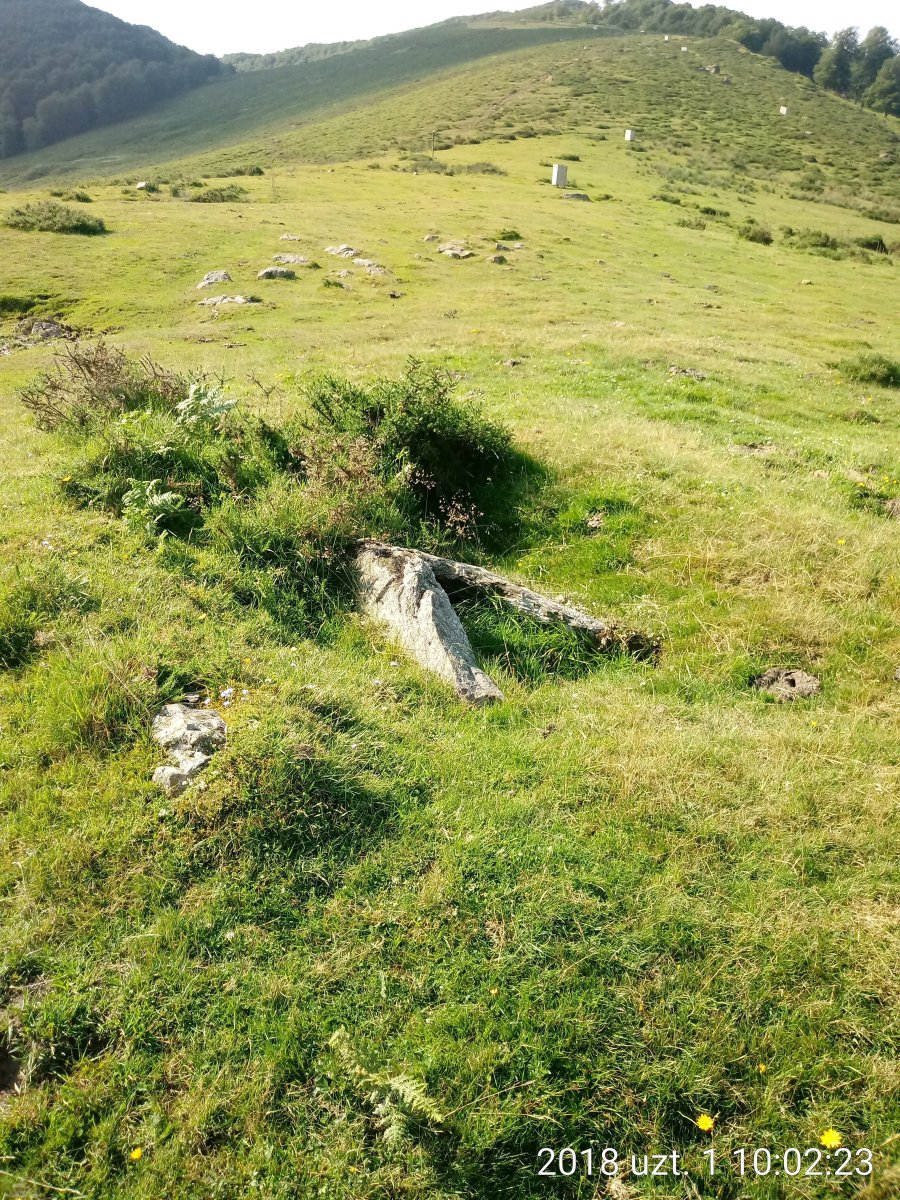 Azpegi IV I. trikuharria 4